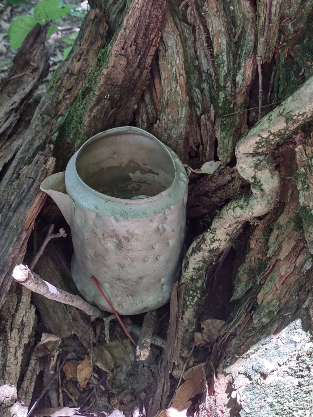 IMG-c16abc27967f8494323f504b13e1e6af-V