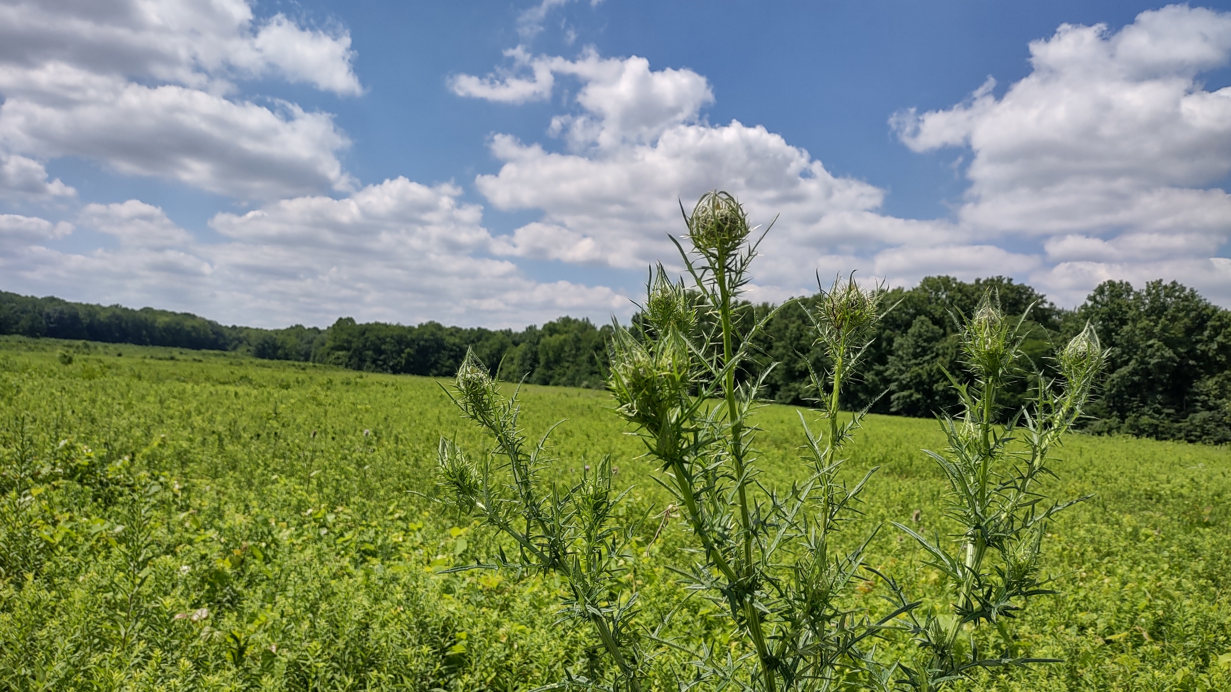 IMG_20220731_144025076_HDR