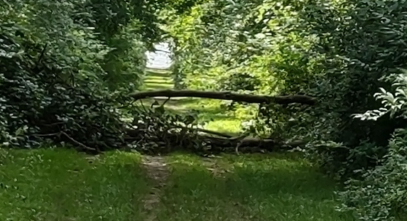 IMG_20220731_154922718_HDR