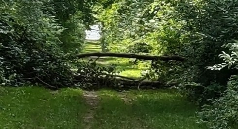 IMG_20220731_154922718_HDR