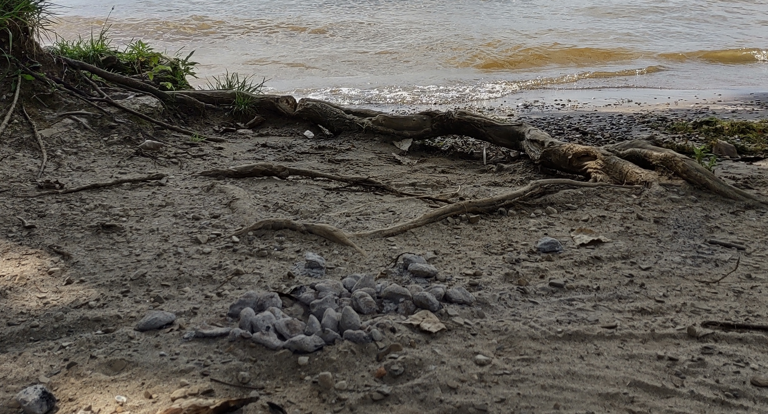 IMG_20220731_155811852_HDR