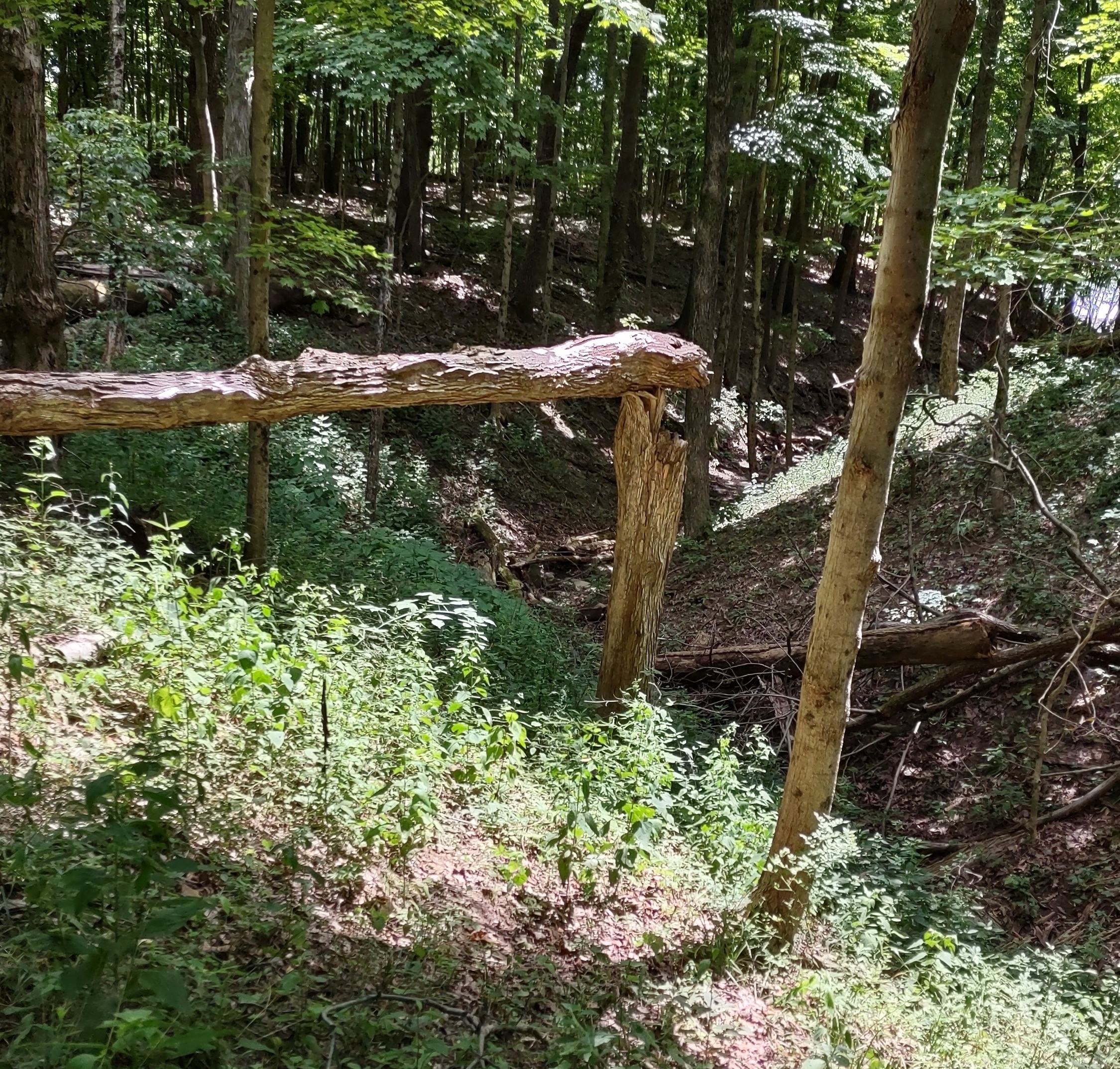 IMG_20220812_134827562_HDR