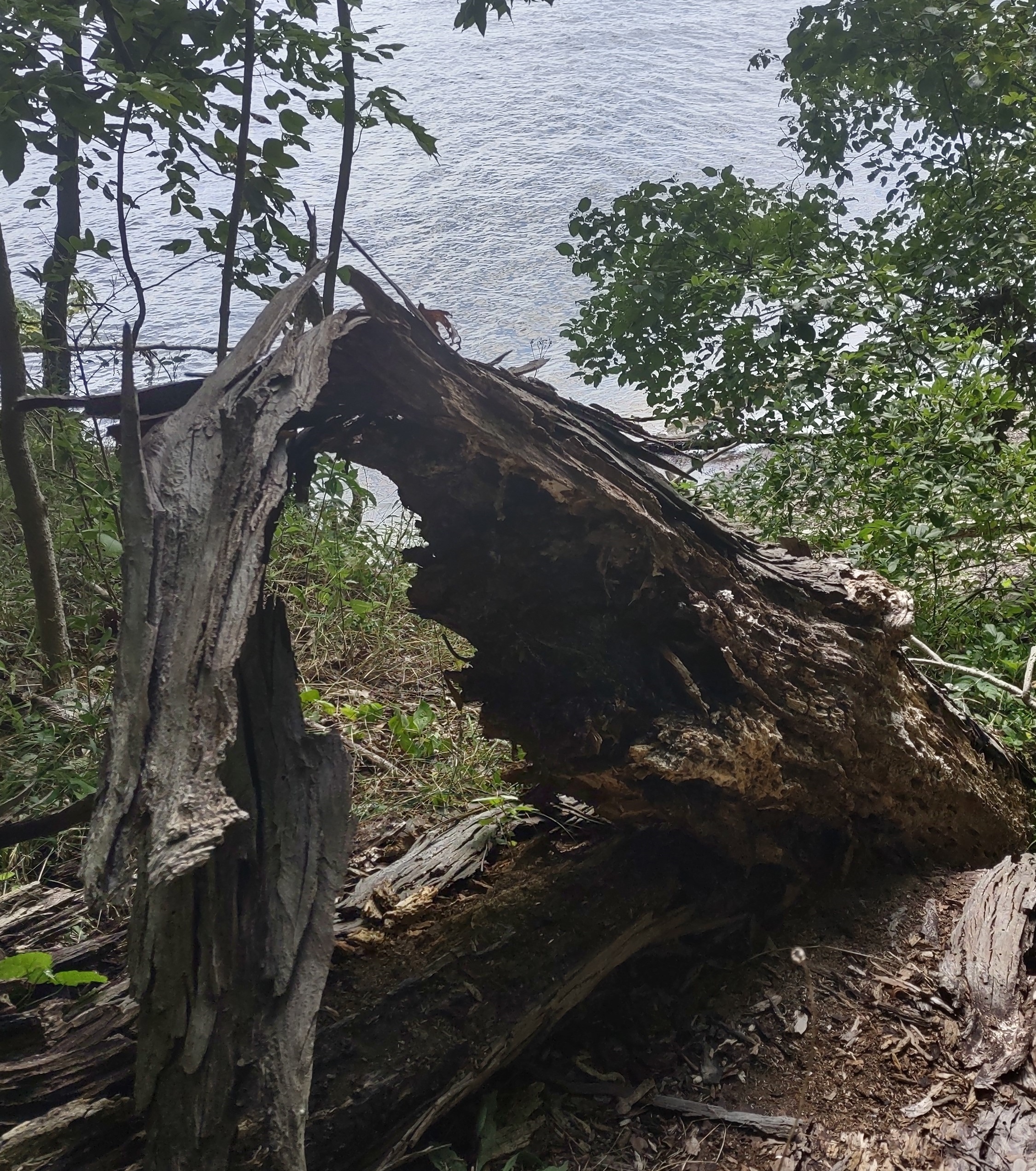 IMG_20220812_135520264_HDR