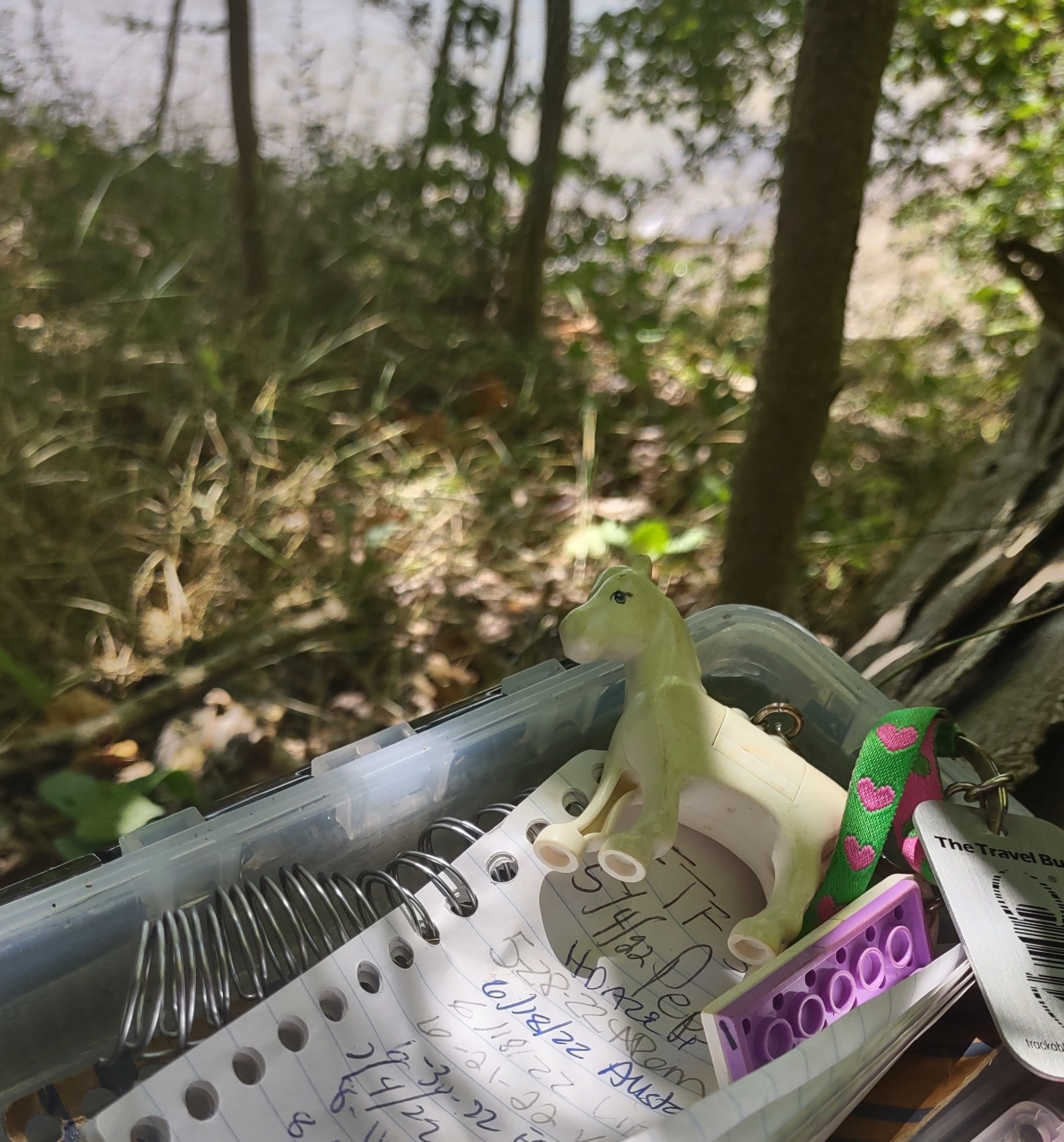 IMG_20220812_135918291_HDR