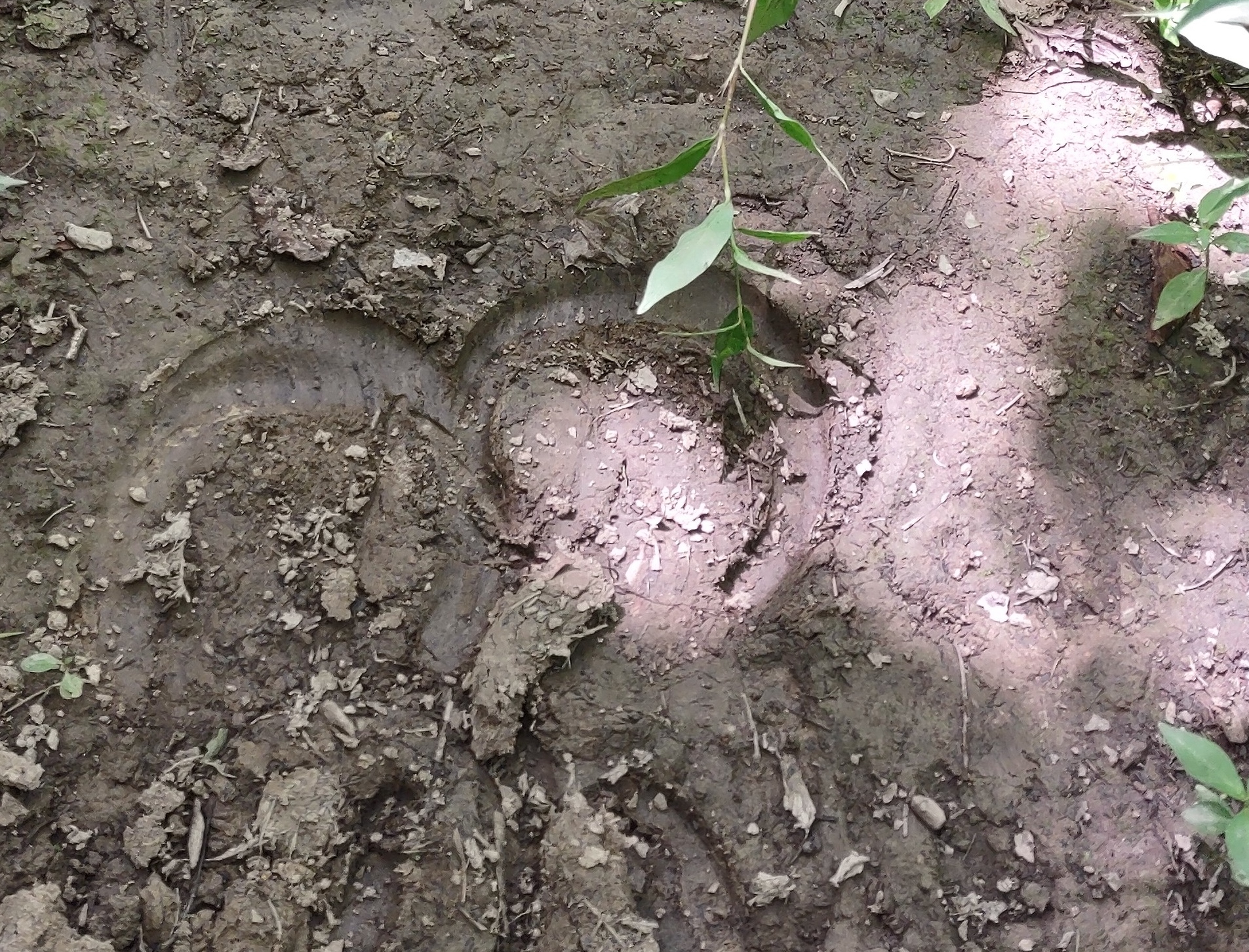 IMG_20220812_142406316