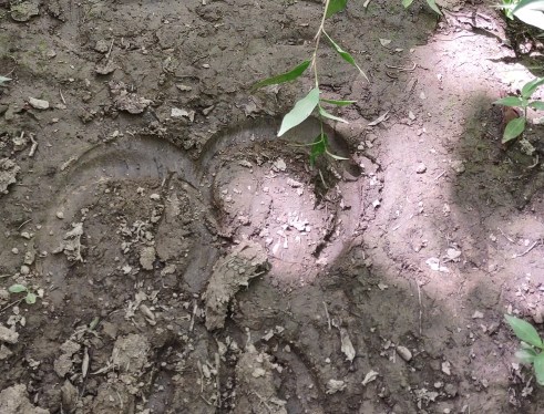 IMG_20220812_142406316