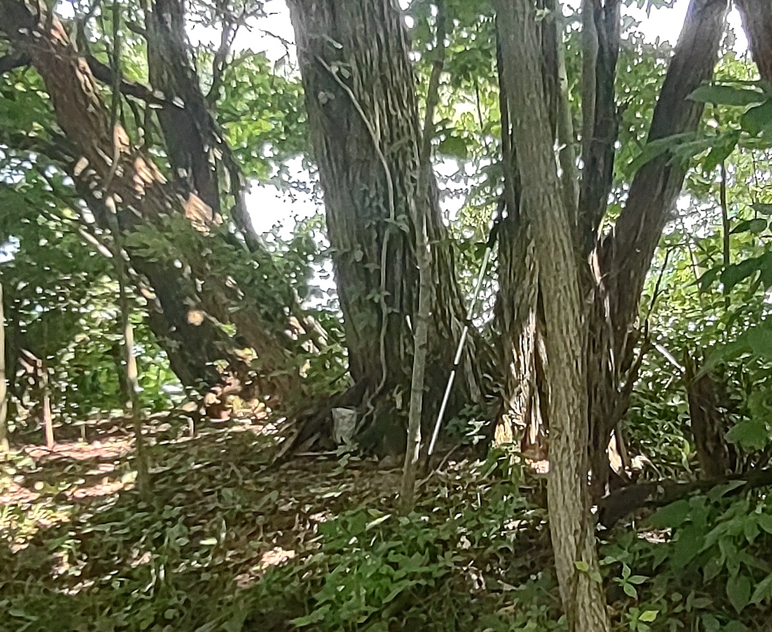 IMG_20220812_143006825_HDR