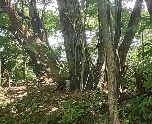 IMG_20220812_143006825_HDR