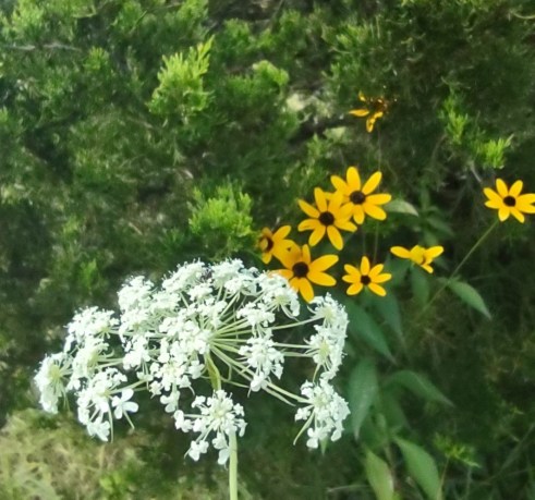 IMG_20220812_150037650