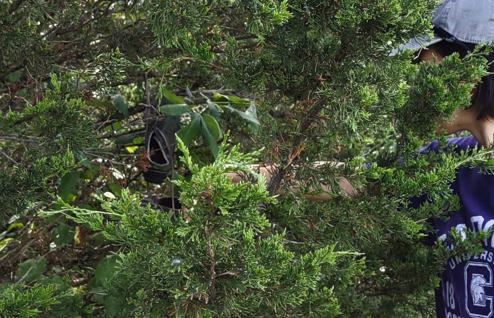 IMG_20220812_150138093