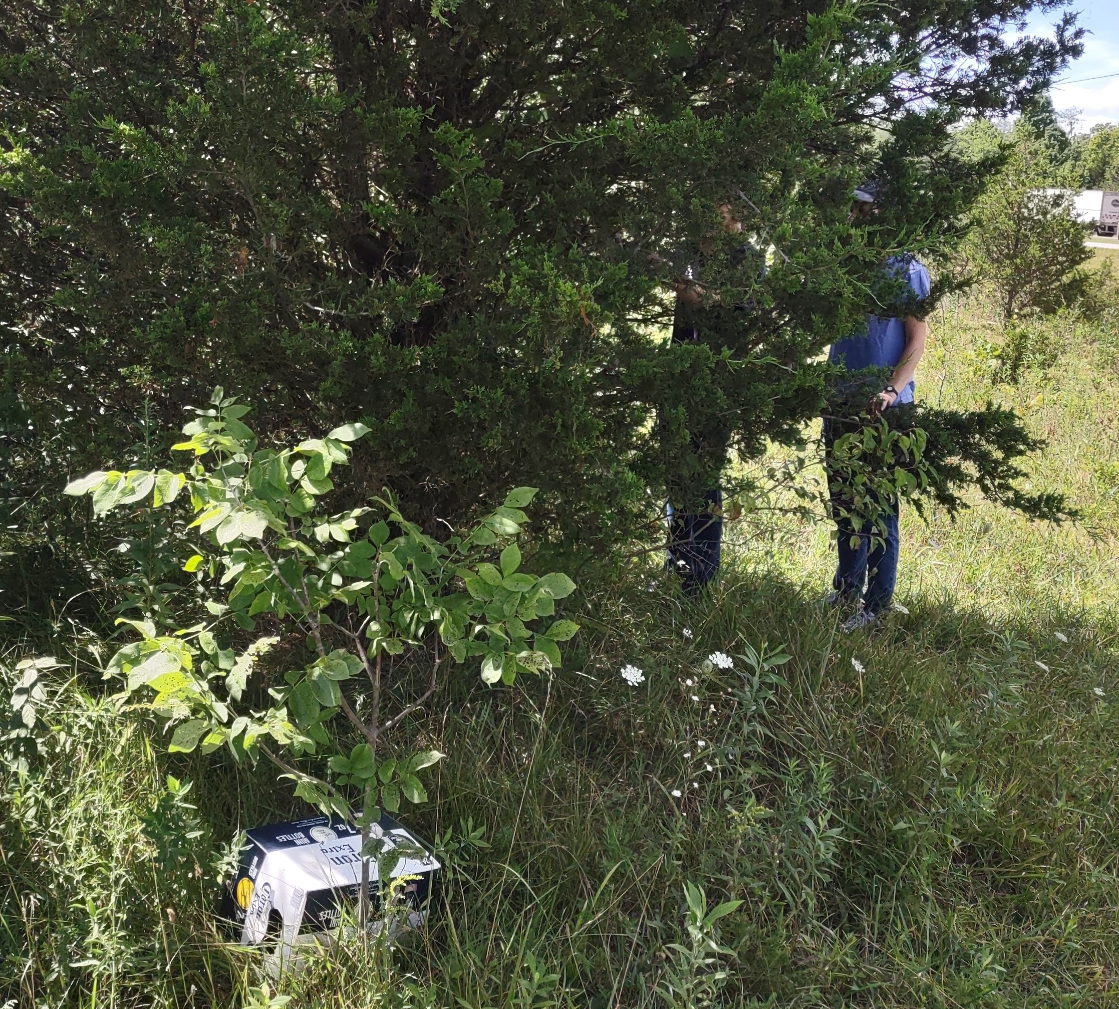 IMG_20220812_150709694