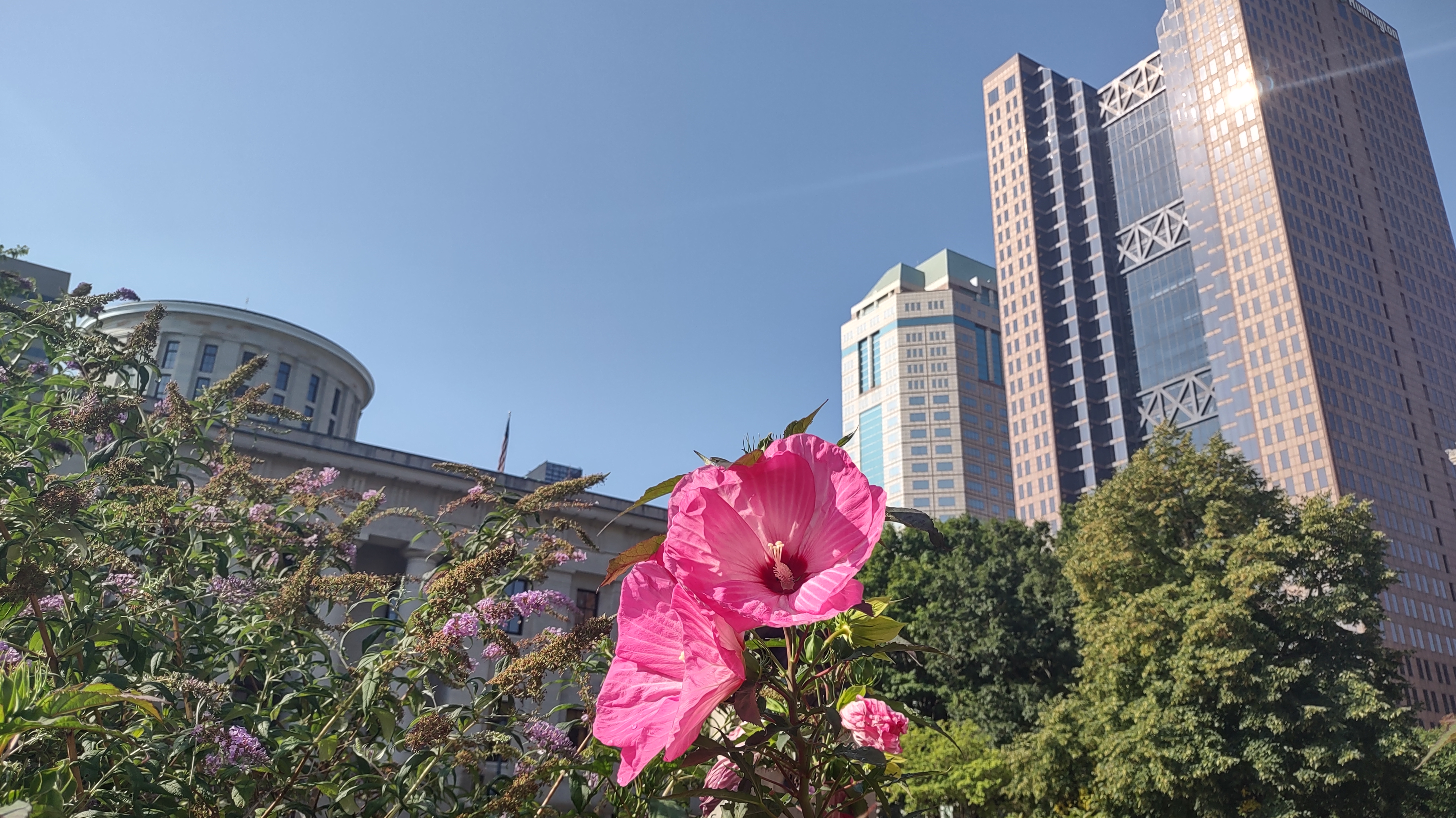 IMG_20220826_100850987_HDR - Copy