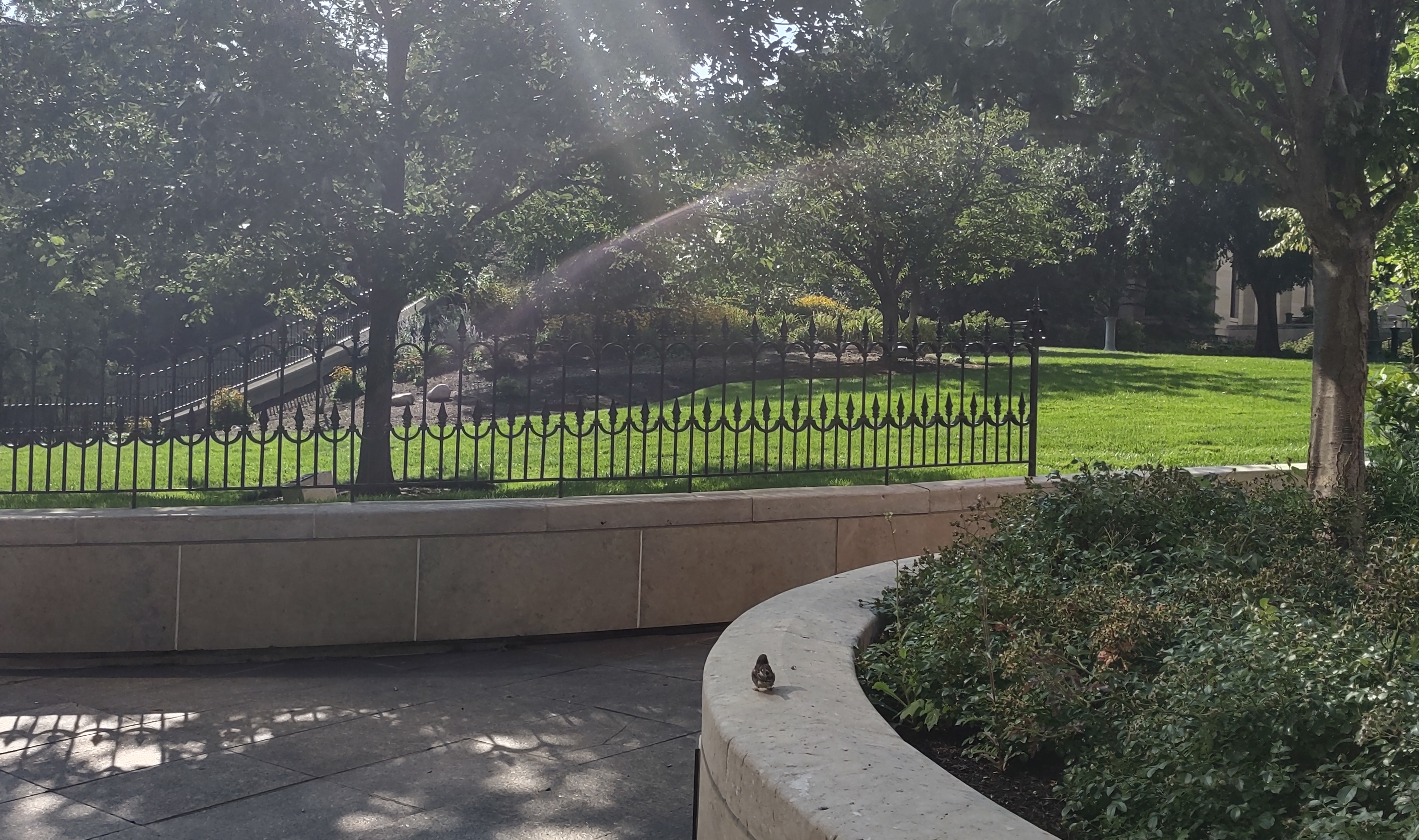 IMG_20220826_100953675_HDR