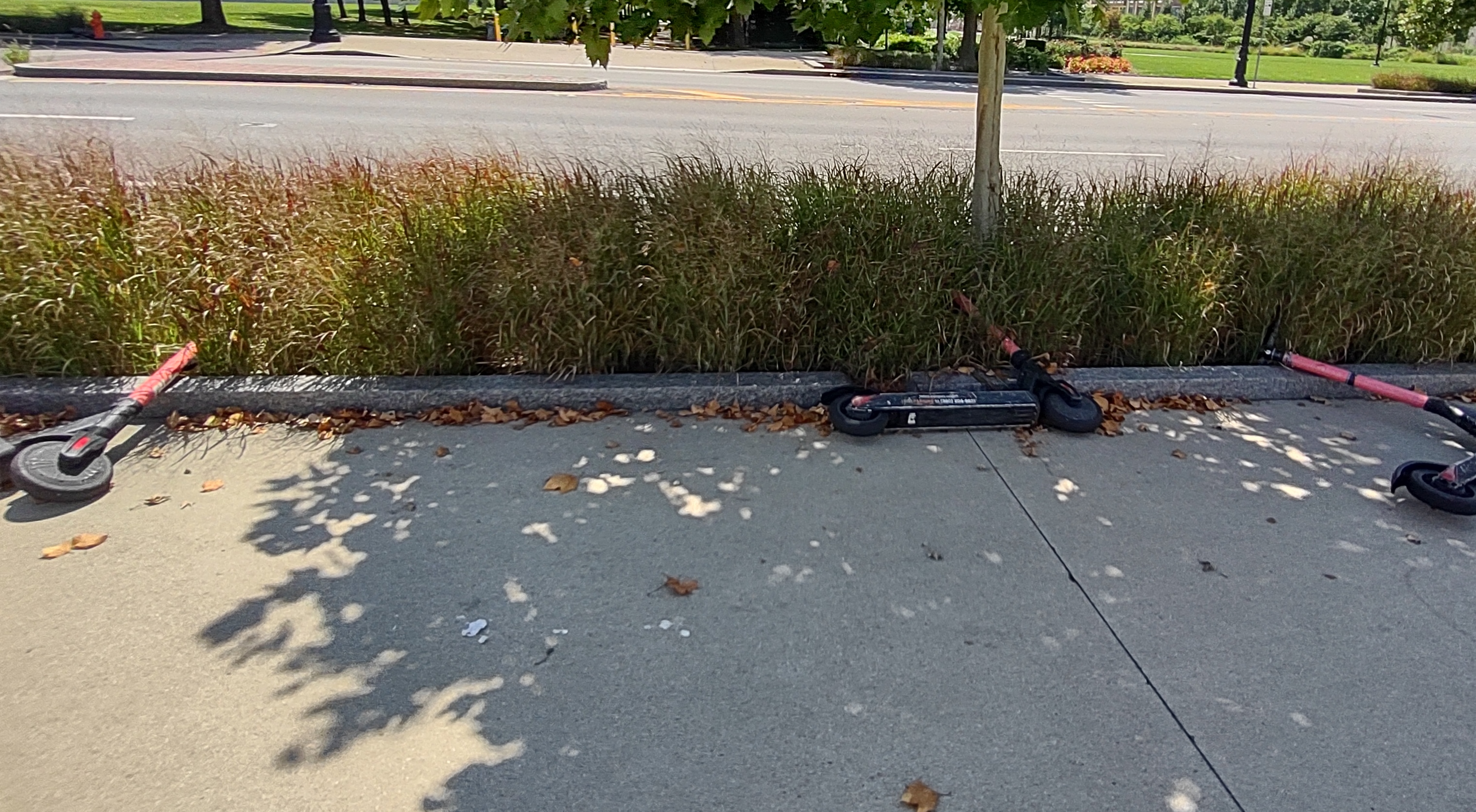 IMG_20220826_131743550_HDR