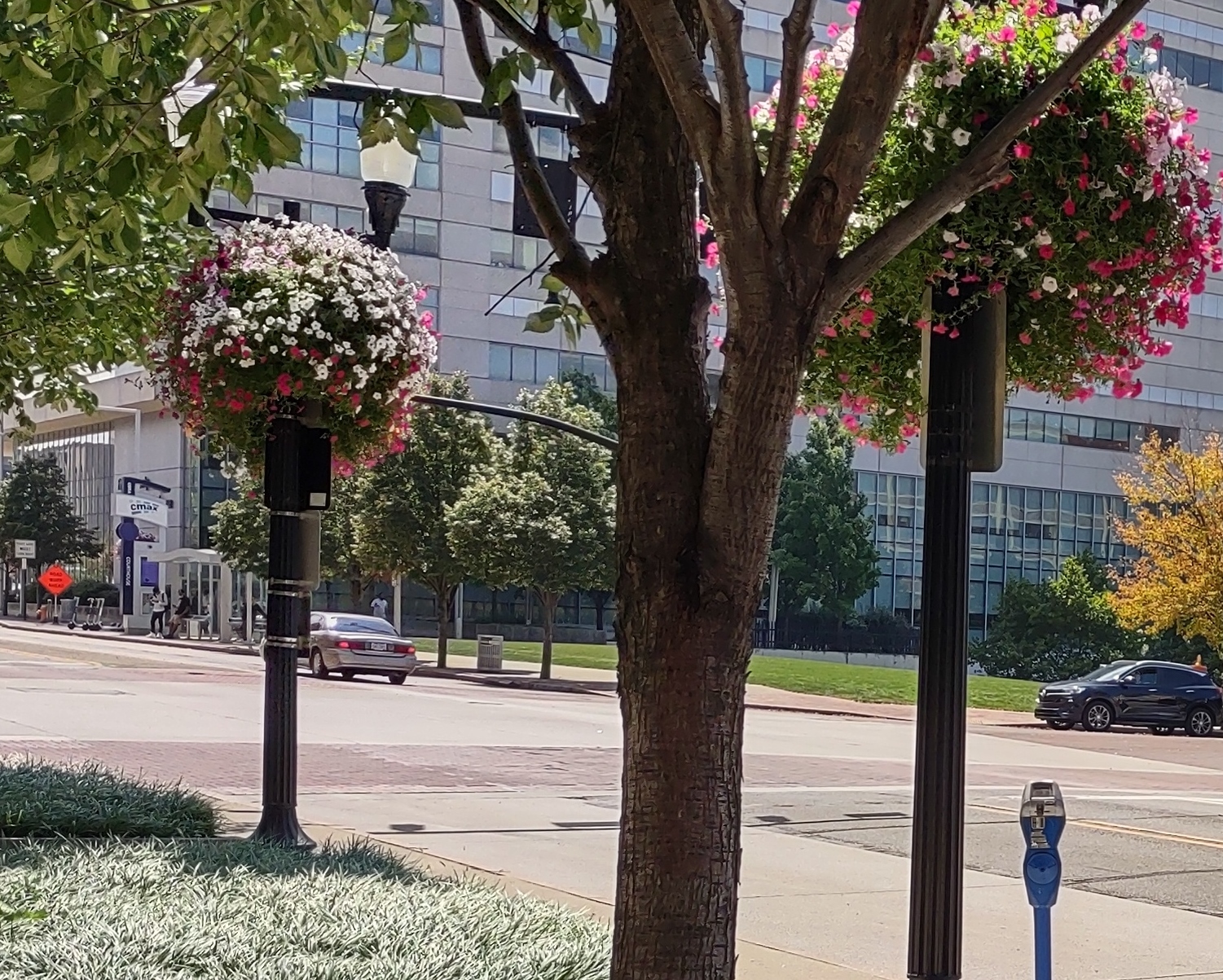 IMG_20220826_134518680_HDR