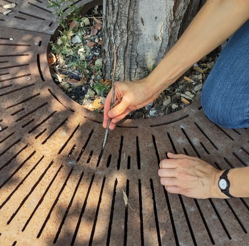 IMG_20220826_135219351_HDR