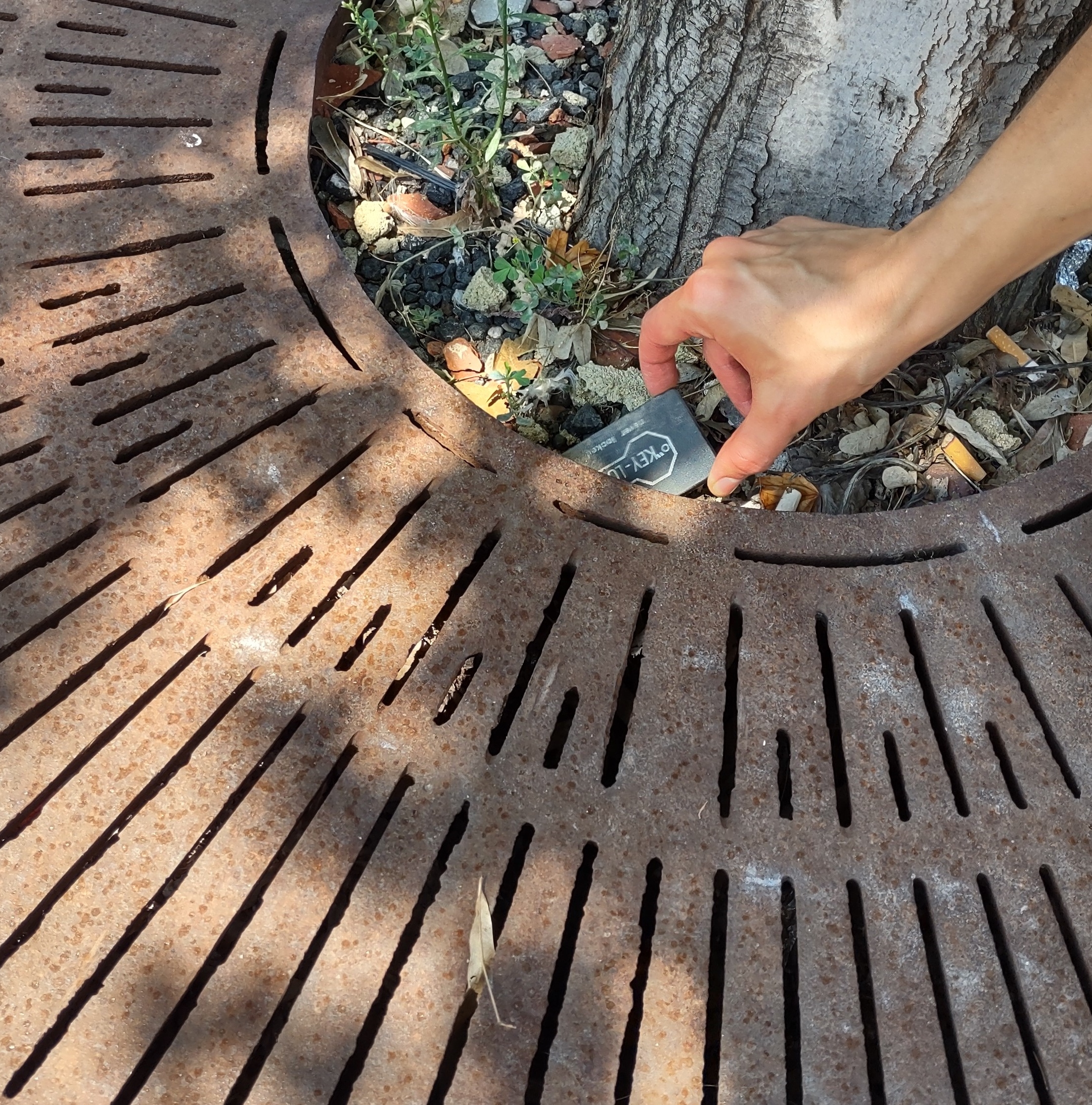 IMG_20220826_135255330_HDR