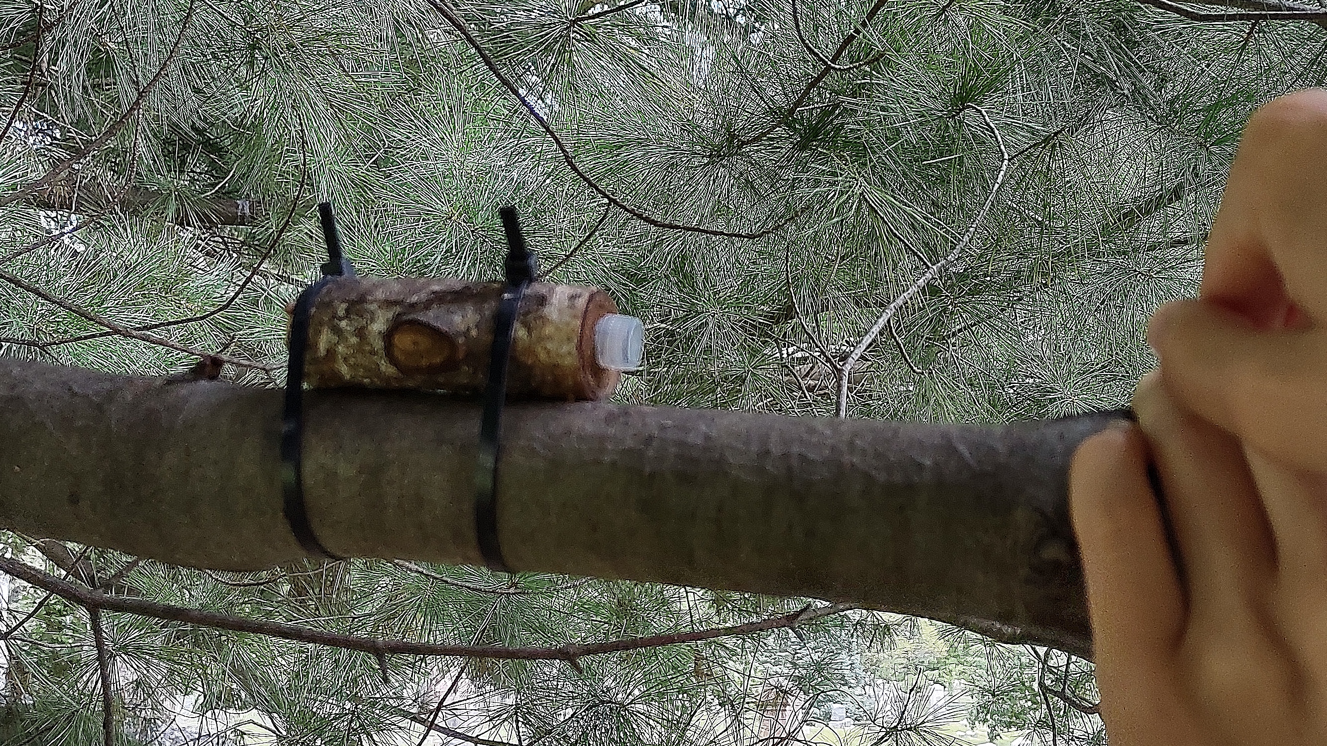 IMG_20220826_145224798_HDR