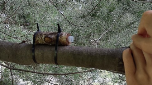 IMG_20220826_145224798_HDR