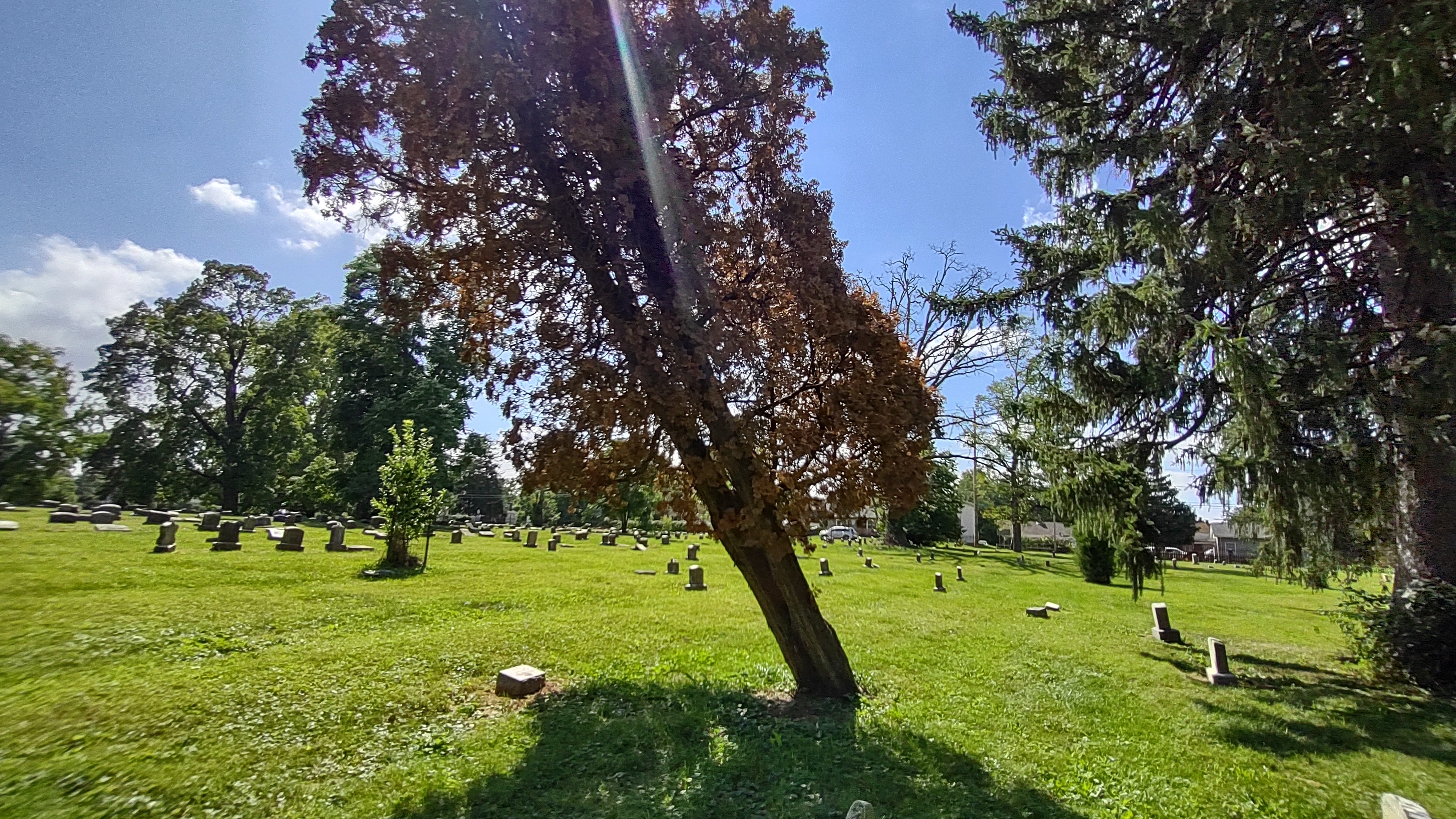 IMG_20220826_151346812_HDR