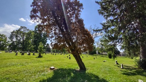 IMG_20220826_151346812_HDR