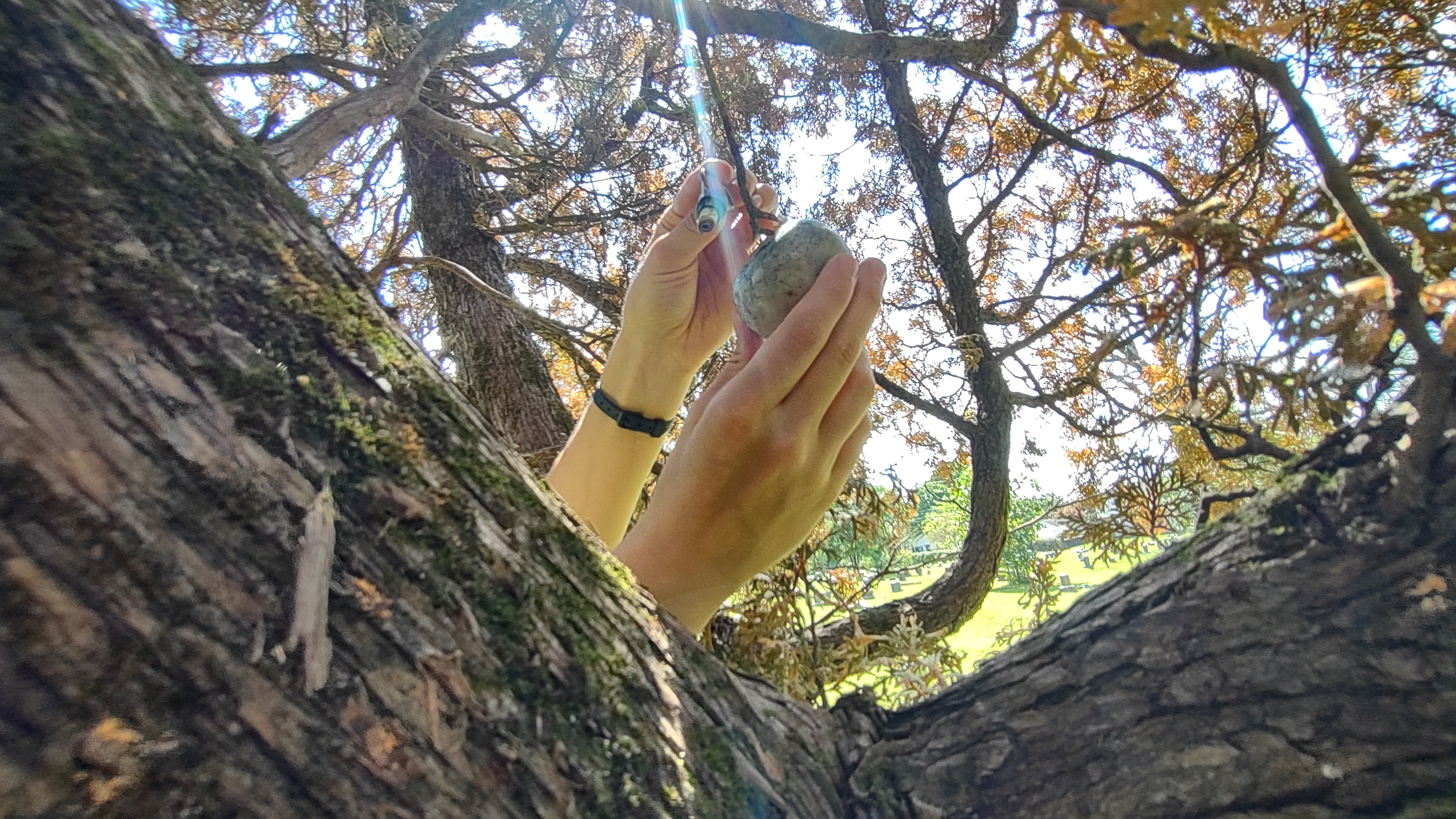 IMG_20220826_151428627_HDR