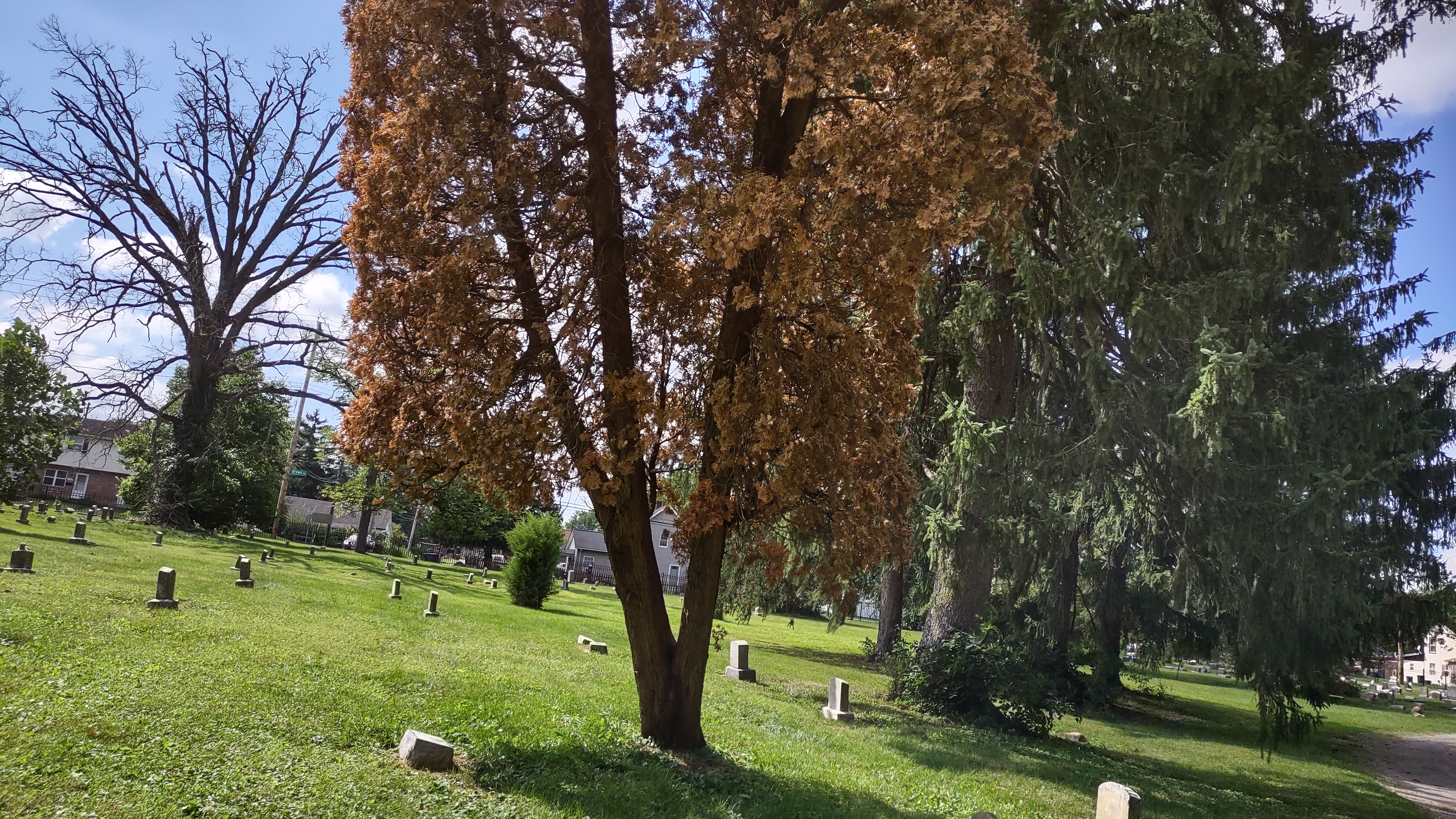 IMG_20220826_152834411_HDR