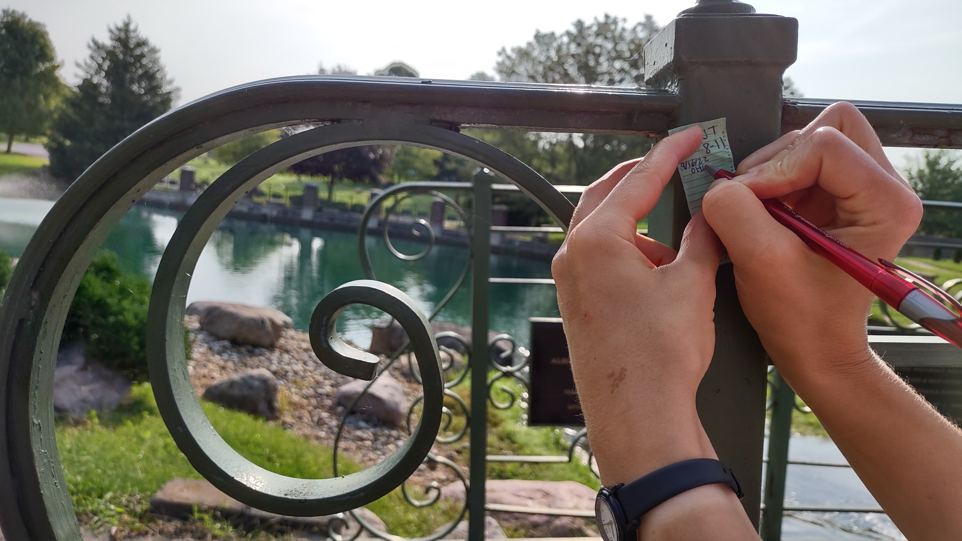 IMG_20220916_100302535_HDR