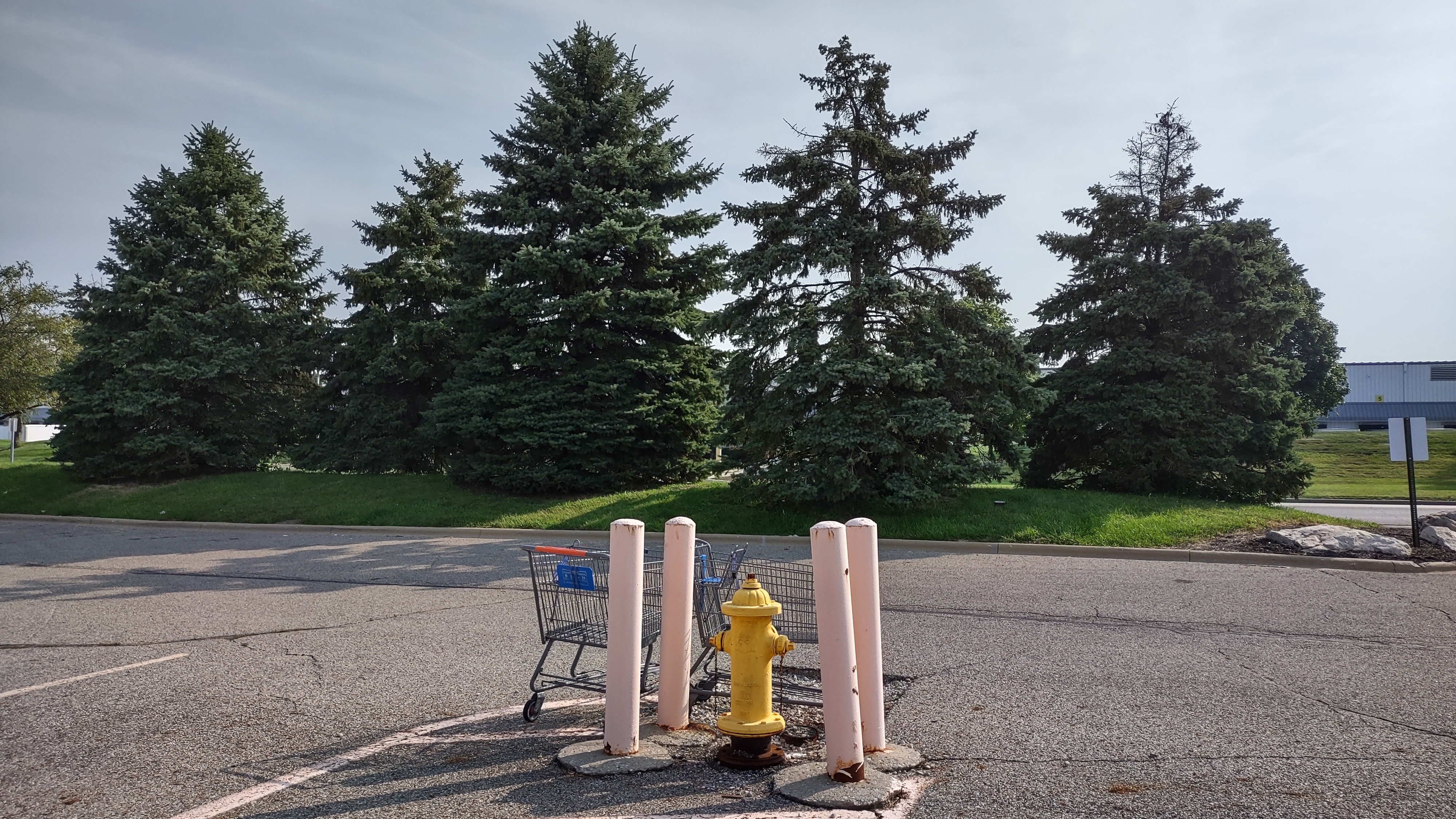 IMG_20220916_102003462_HDR