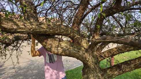 IMG_20220916_102135394_HDR