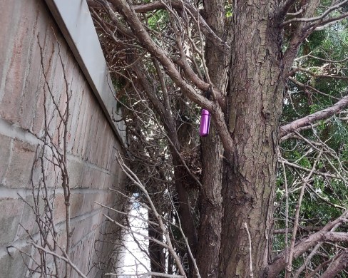 IMG_20220916_105008330