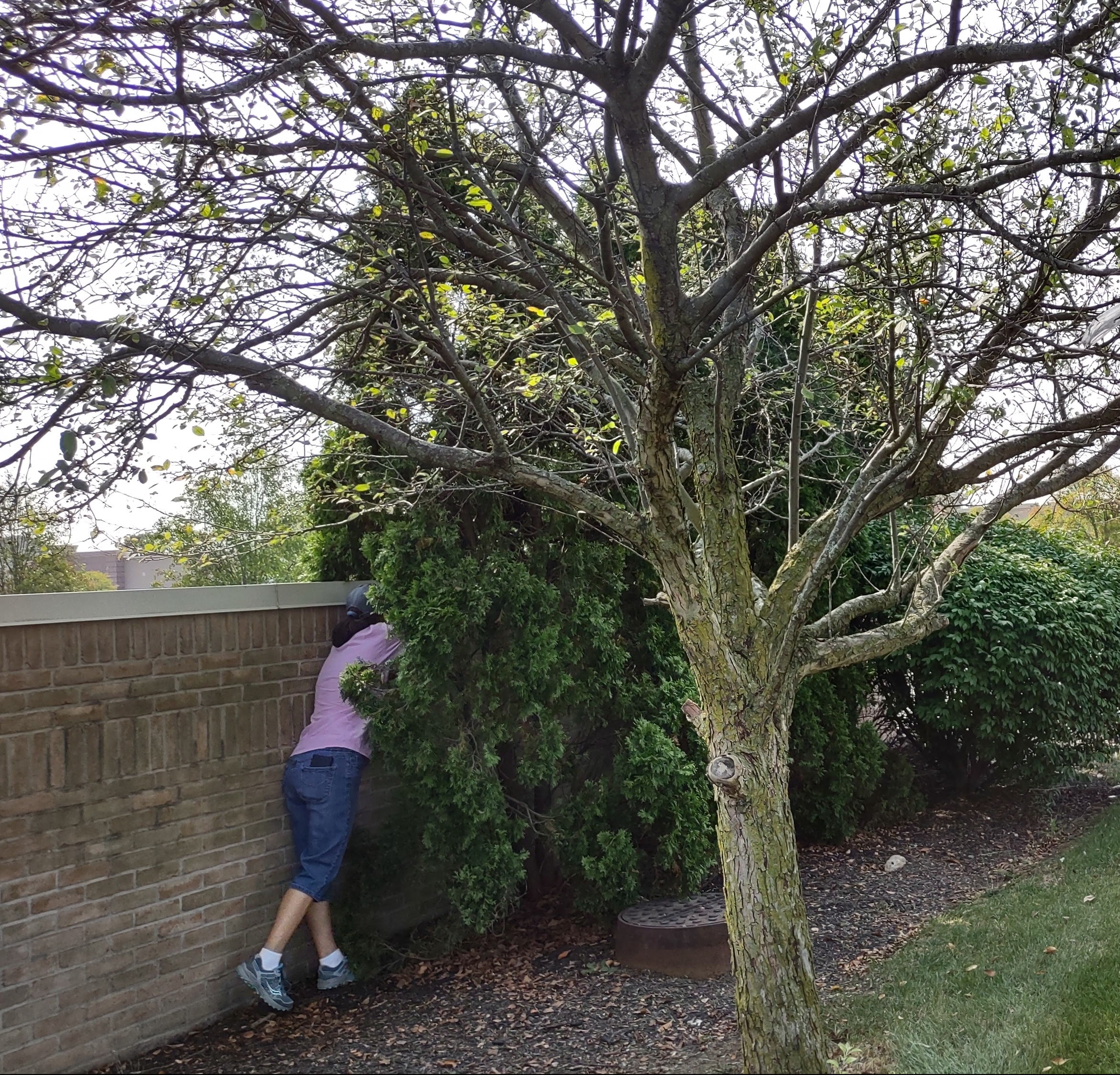 IMG_20220916_105128641_HDR