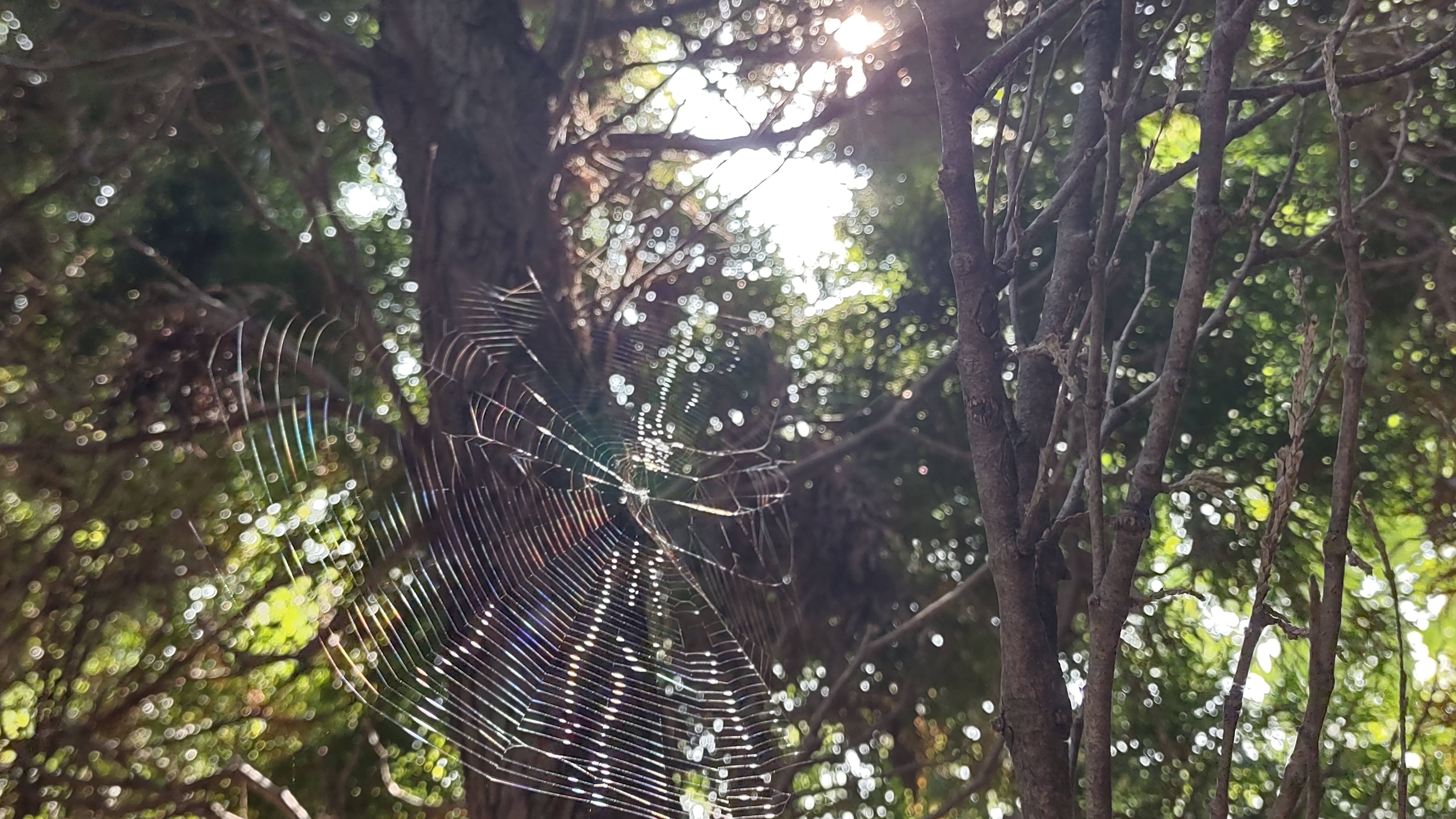 IMG_20220916_105921486_HDR