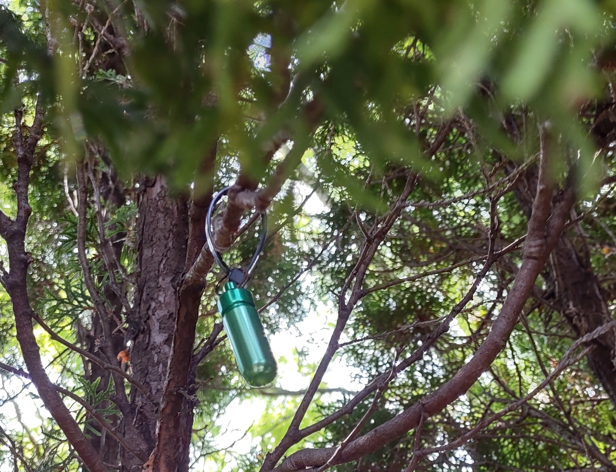 IMG_20220916_110448444_HDR