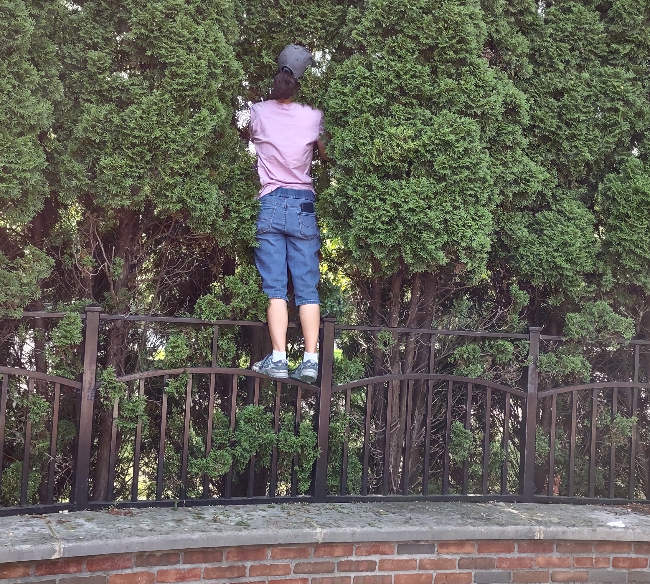 IMG_20220916_110944612_HDR