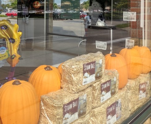 IMG_20220916_111420079_HDR