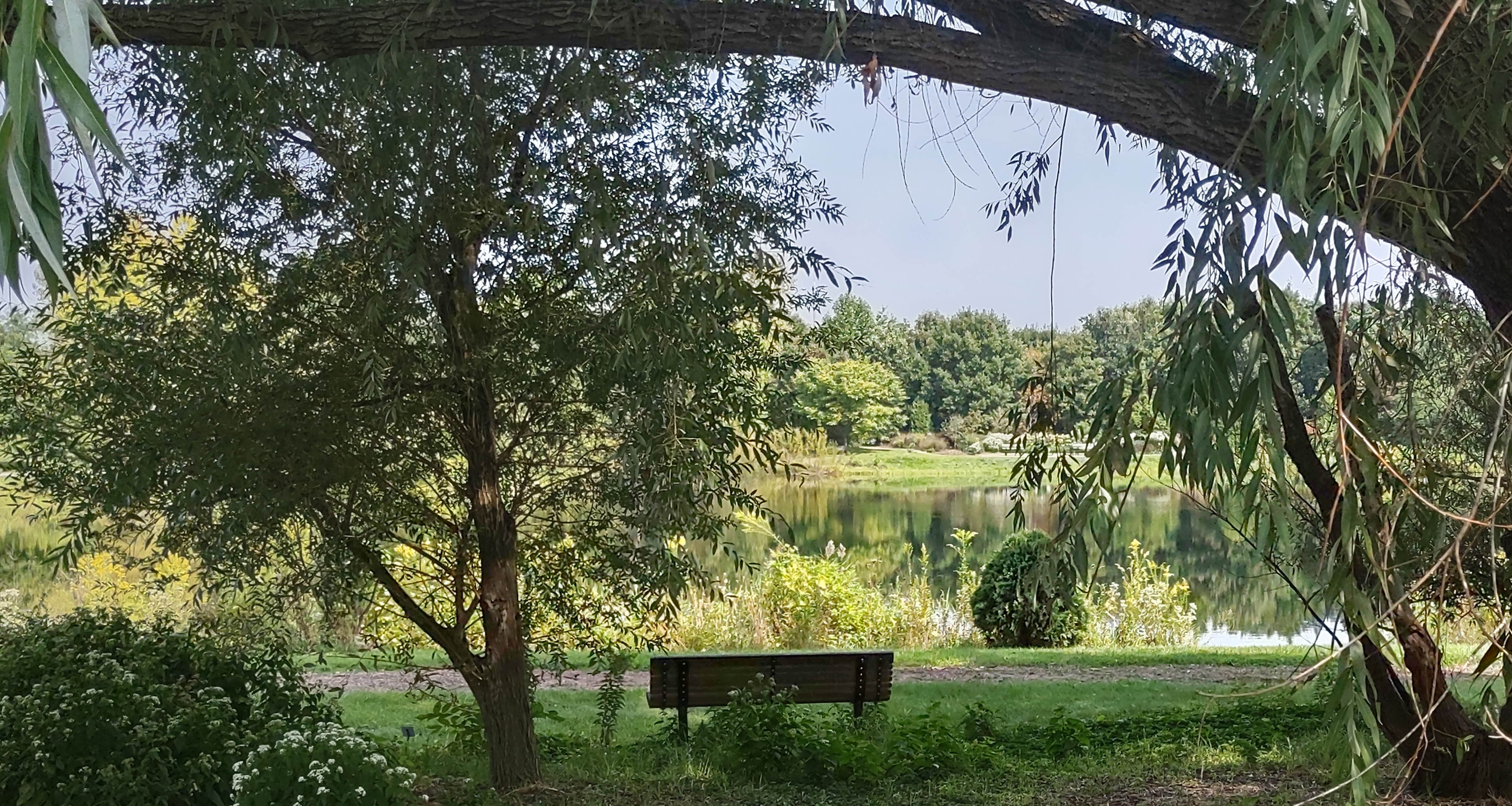 IMG_20220916_115758851_HDR