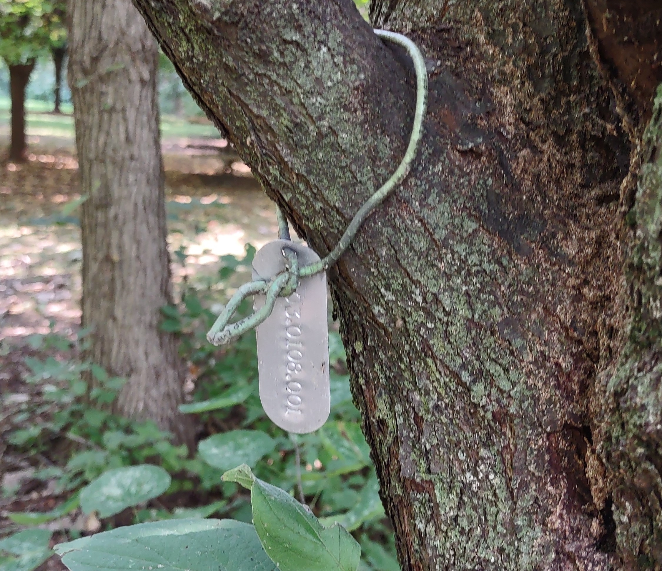 IMG_20220916_120334018