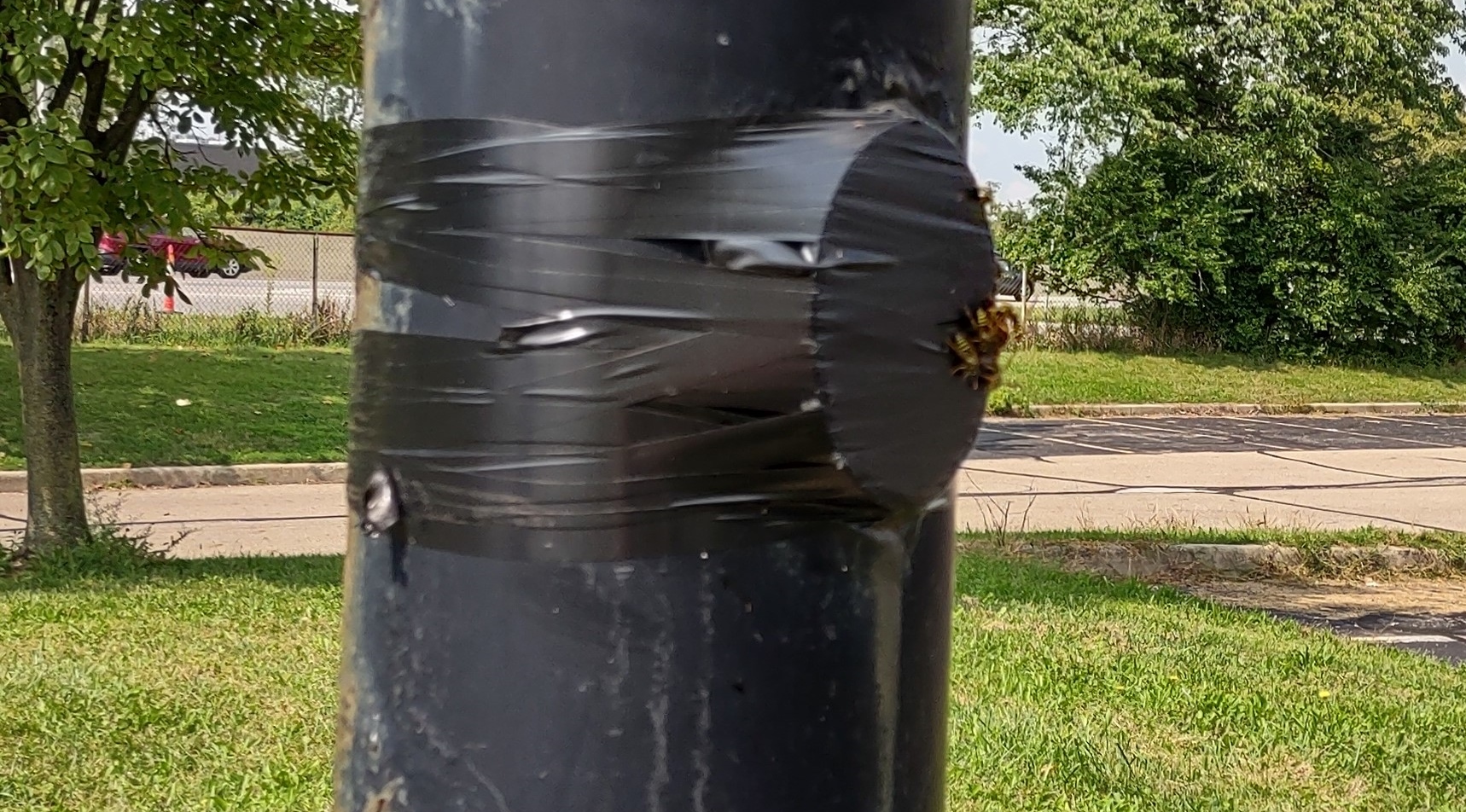 IMG_20220916_125711919_HDR