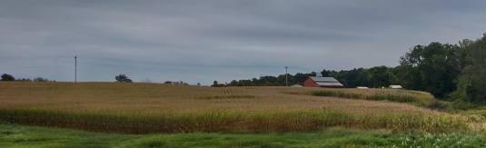 IMG_20221001_093507585_HDR