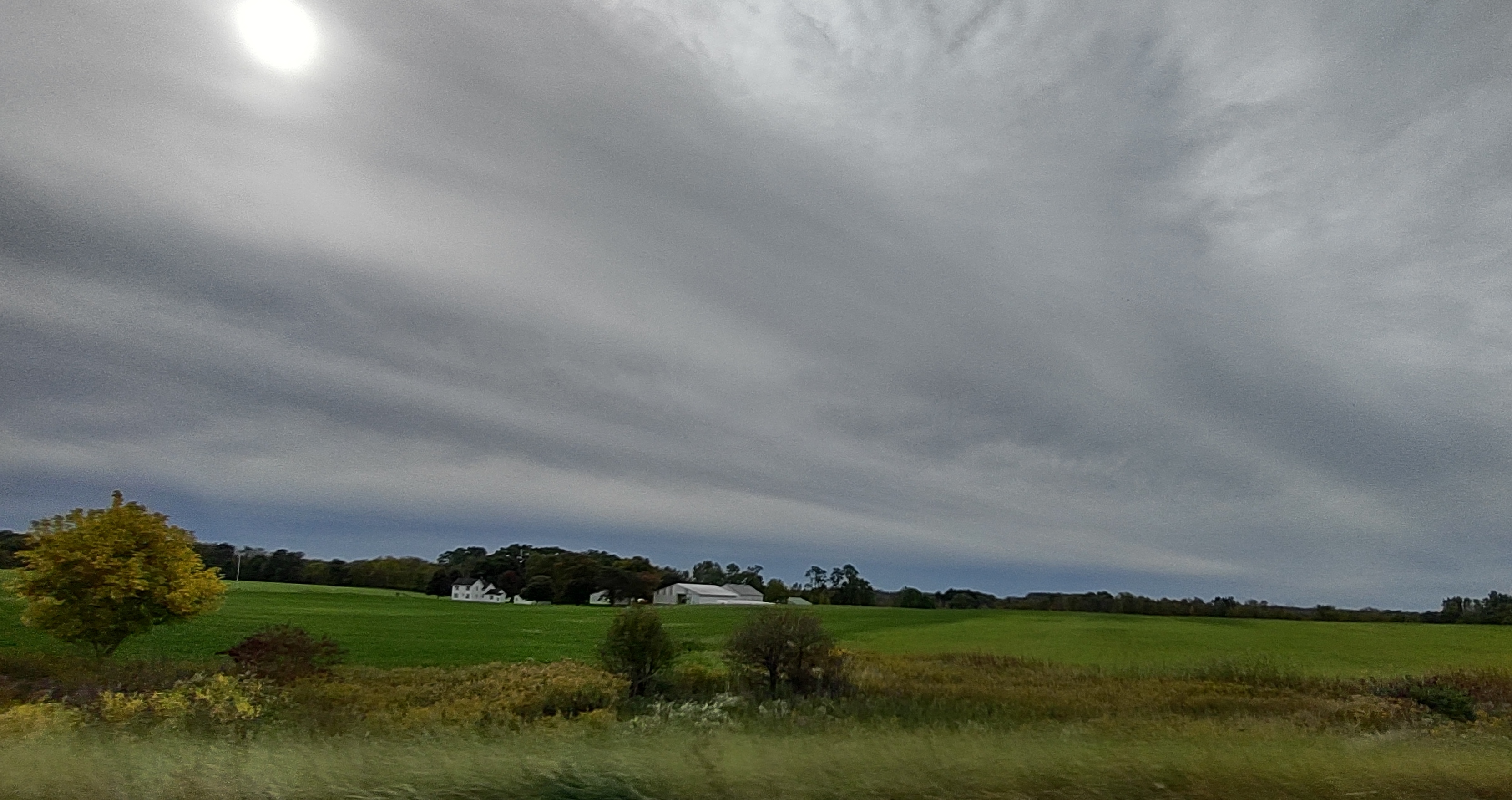 IMG_20221001_101455161_HDR