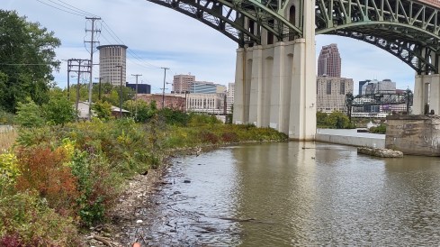 IMG_20221001_114438678_HDR