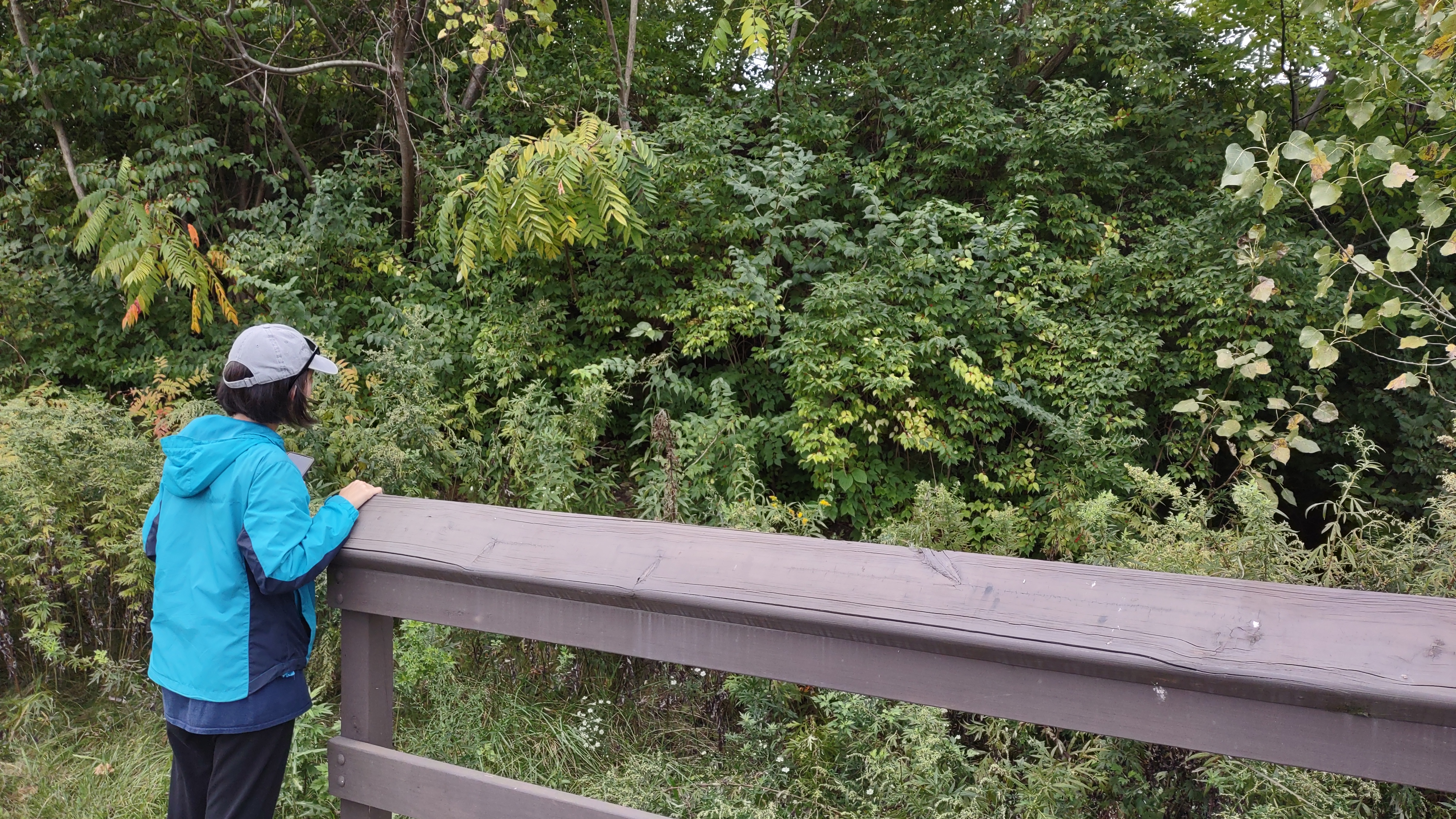 IMG_20221001_115927040