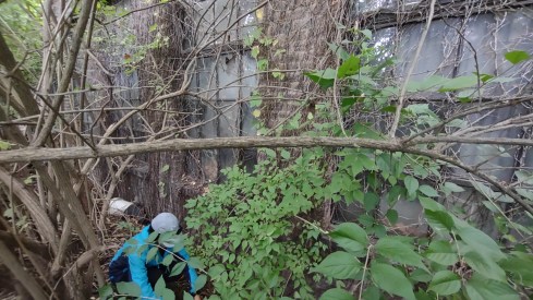 IMG_20221001_120133026