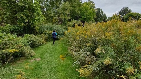 IMG_20221001_144812747_HDR