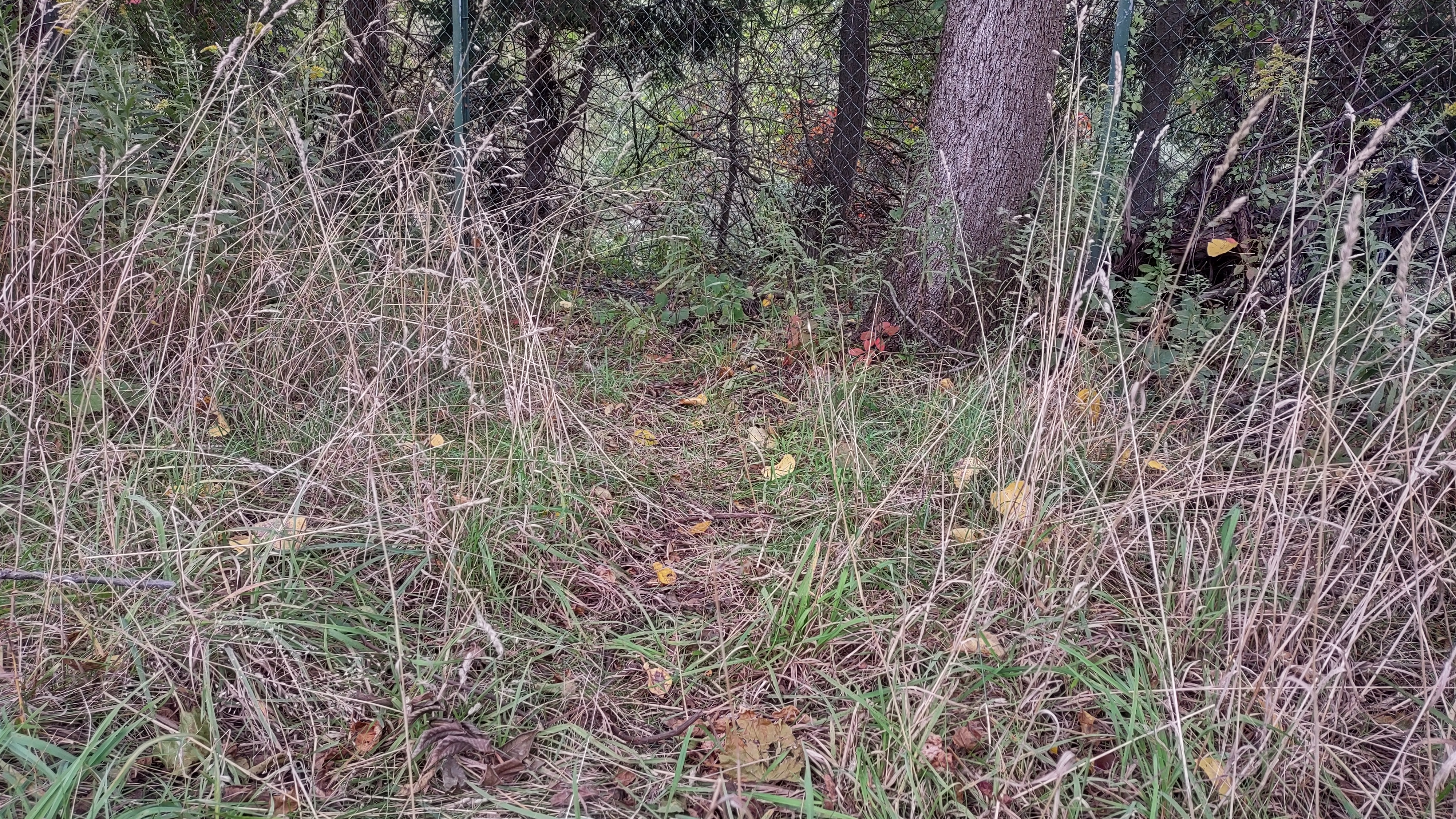 IMG_20221001_144958263_HDR