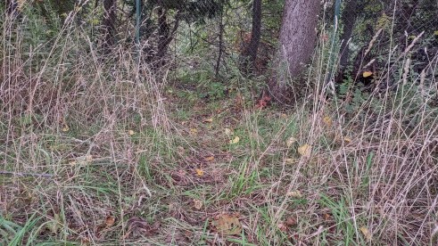 IMG_20221001_144958263_HDR