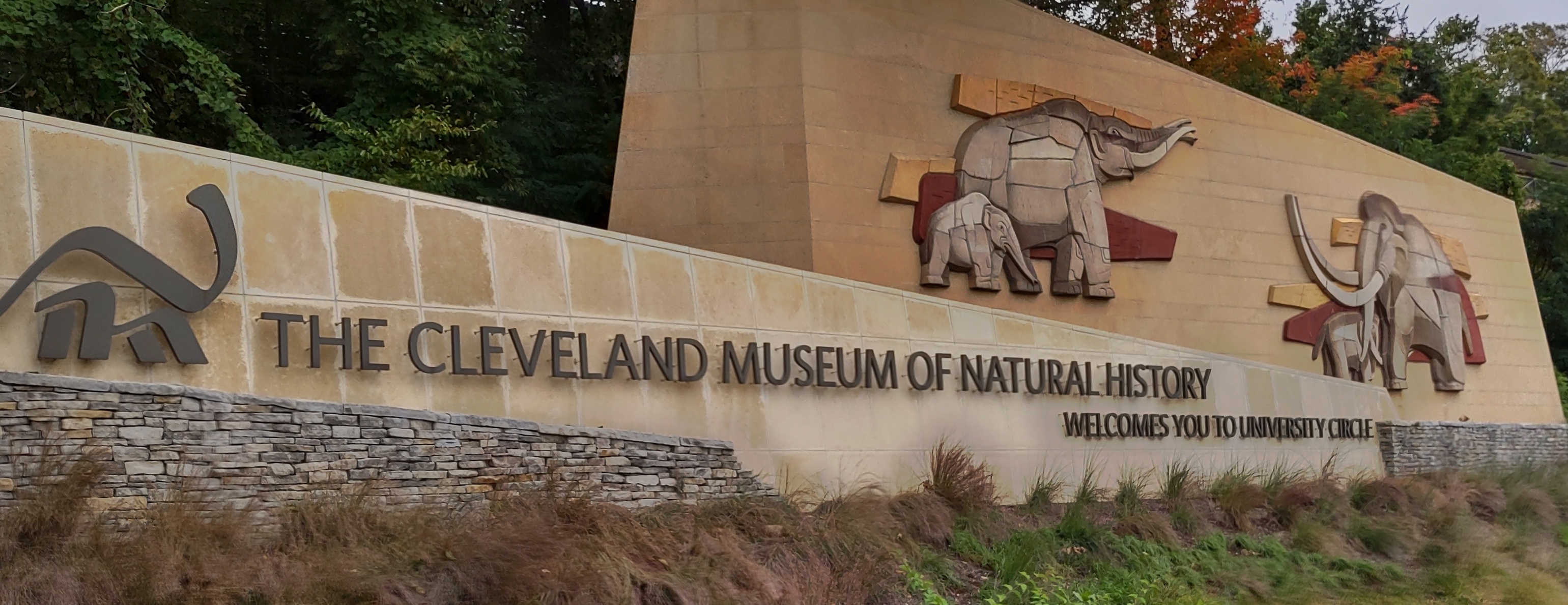 IMG_20221001_152042315_HDR