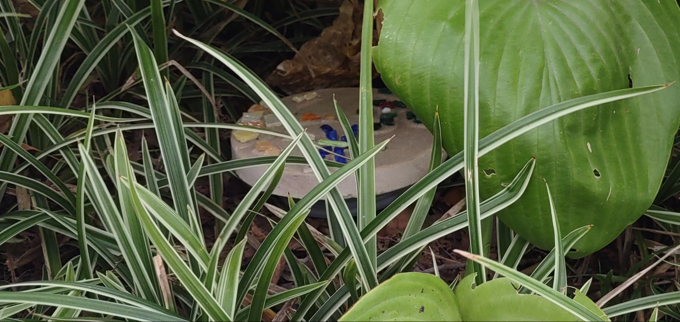 IMG_20221001_152800606