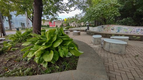 IMG_20221001_153213061_HDR